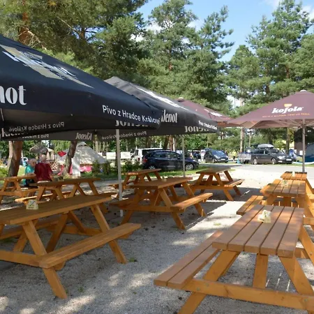 Holiday home Stribrny Rybnik-9 By Interhome