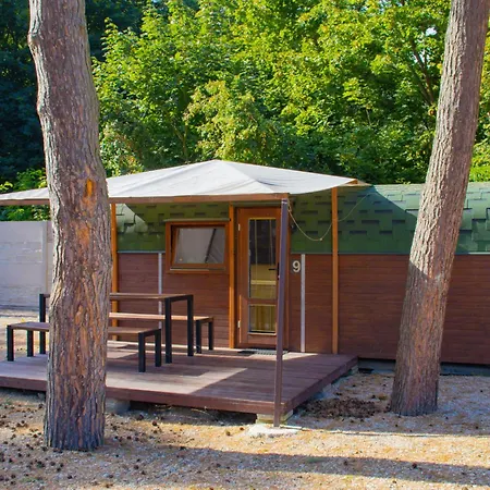 Stribrny Rybnik-9 By Interhome Holiday home *